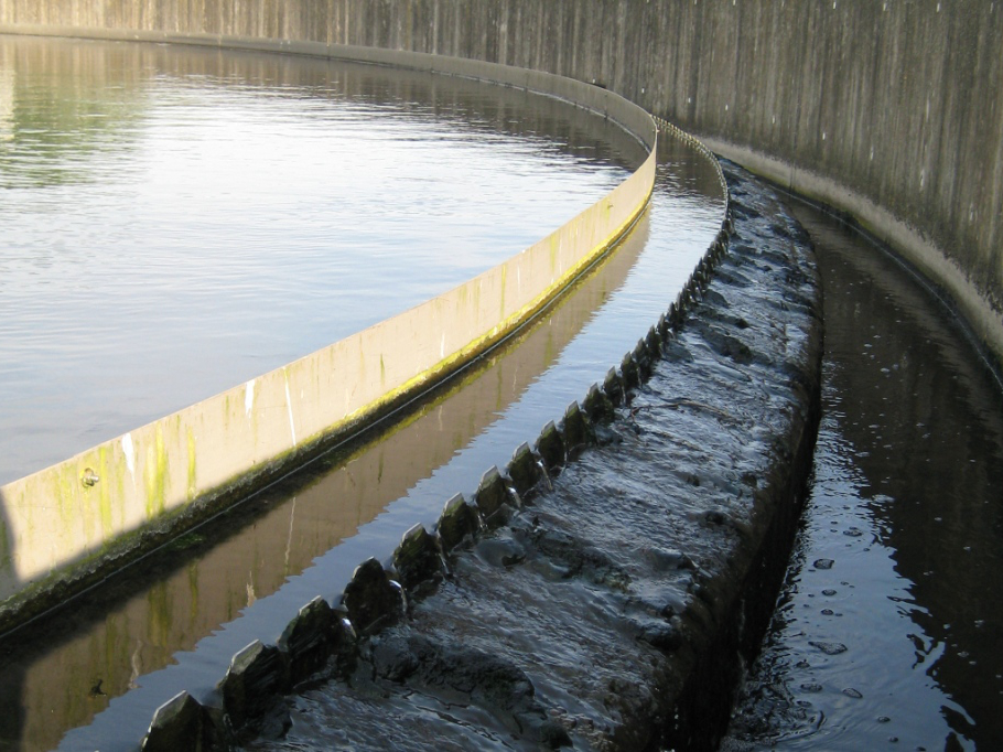 Intercontrol biogas affakkelen RZWI